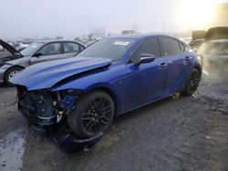 Salvage cars for sale at auction: 2023 Lexus IS 500 F Sport