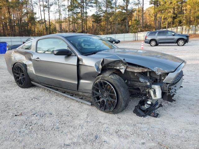 2013 Ford Mustang