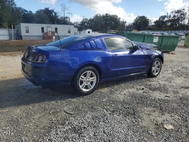 2013 Ford Mustang