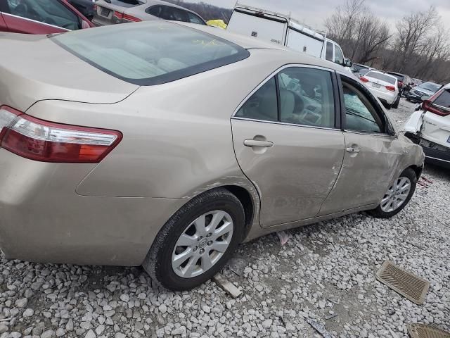 2009 Toyota Camry Hybrid