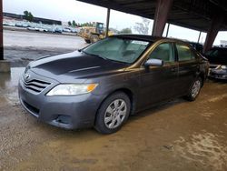 2011 Toyota Camry Base en venta en American Canyon, CA