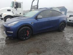 Tesla salvage cars for sale: 2023 Tesla Model Y