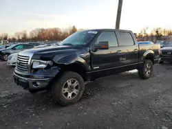 Salvage trucks for sale at Chalfont, PA auction: 2012 Ford F150 Supercrew