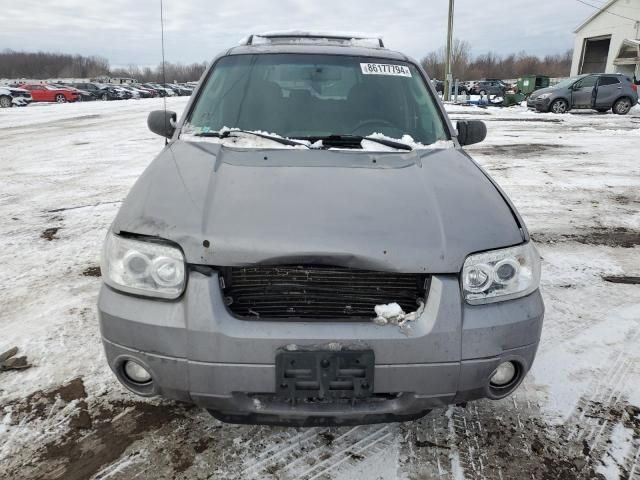 2007 Ford Escape Limited