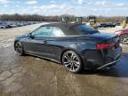 2024 Audi S5 Premium Plus