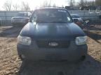 2006 Ford Escape XLT