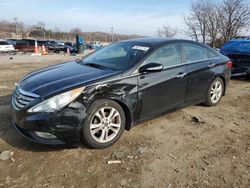 Salvage cars for sale at Baltimore, MD auction: 2013 Hyundai Sonata SE