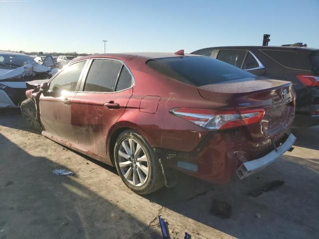 2019 Toyota Camry L