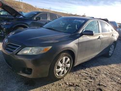 Toyota Camry salvage cars for sale: 2011 Toyota Camry Base