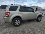 2010 Ford Escape Limited