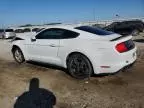 2023 Ford Mustang