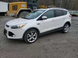 Salvage cars for sale at Hurricane, WV auction: 2014 Ford Escape Titanium