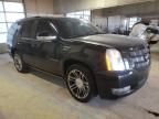 2013 Cadillac Escalade Premium