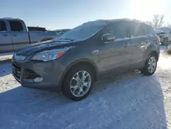 Salvage cars for sale at Wayland, MI auction: 2013 Ford Escape SEL