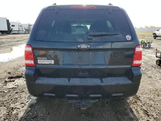 2010 Ford Escape XLT