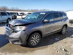 Honda Pilot salvage cars for sale: 2019 Honda Pilot EXL