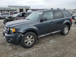 2009 Ford Escape Limited en venta en Earlington, KY