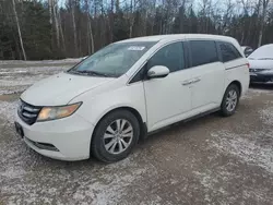 2014 Honda Odyssey EX en venta en Cookstown, ON