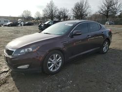 Salvage cars for sale at Laurel, MD auction: 2013 KIA Optima EX