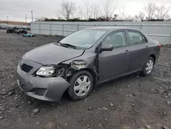 Salvage cars for sale at Marlboro, NY auction: 2010 Toyota Corolla Base