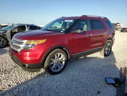 2014 Ford Explorer XLT en venta en Taylor, TX