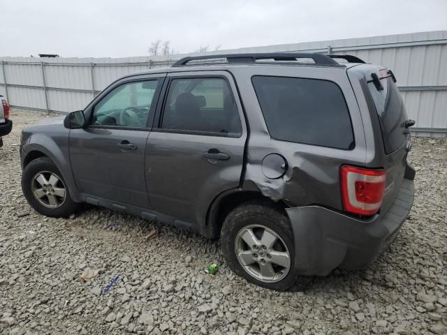 2011 Ford Escape XLS