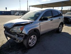 Salvage cars for sale at Anthony, TX auction: 2010 Honda CR-V LX