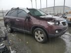 2013 KIA Sorento EX