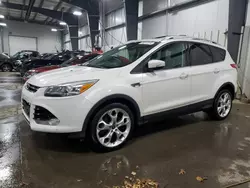 Salvage cars for sale at Ham Lake, MN auction: 2013 Ford Escape Titanium