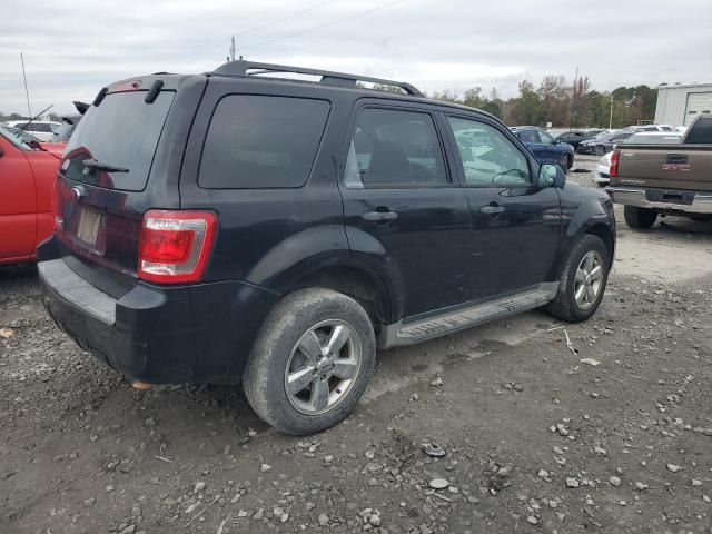 2009 Ford Escape XLT