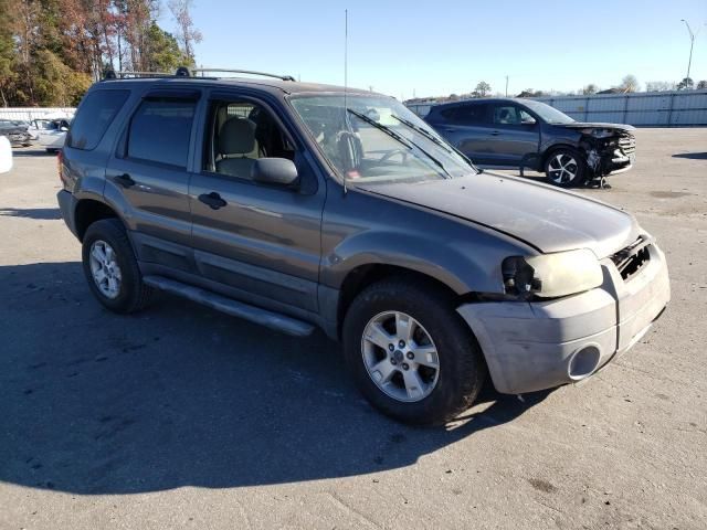 2005 Ford Escape XLT