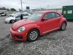 2019 Volkswagen Beetle S