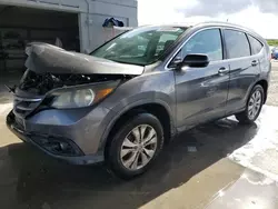 Salvage cars for sale at West Palm Beach, FL auction: 2014 Honda CR-V EXL