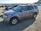 2008 Ford Escape HEV