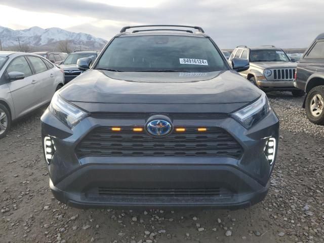 2024 Toyota Rav4 XLE