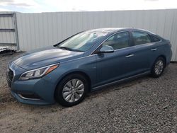 Salvage cars for sale at Riverview, FL auction: 2016 Hyundai Sonata Hybrid