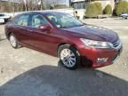 2014 Honda Accord EXL