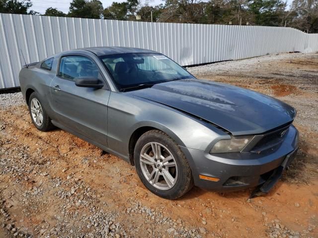 2010 Ford Mustang