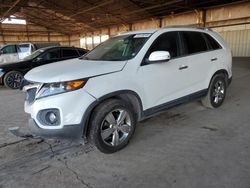 Salvage cars for sale at Phoenix, AZ auction: 2012 KIA Sorento EX