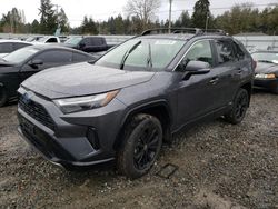 Toyota salvage cars for sale: 2024 Toyota Rav4 SE