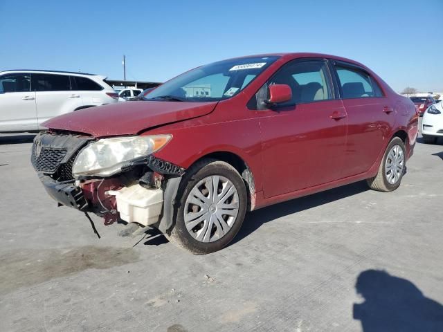 2009 Toyota Corolla Base