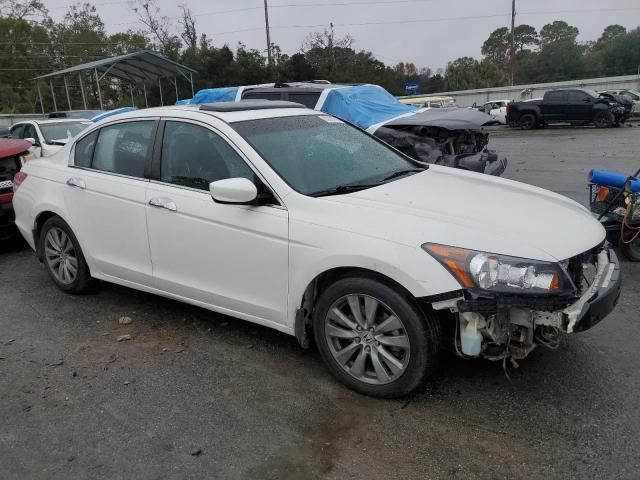 2011 Honda Accord EXL