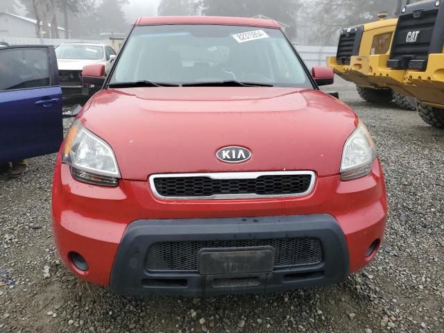 2010 KIA Soul +