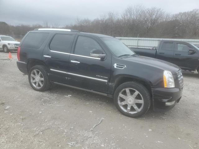 2010 Cadillac Escalade Premium