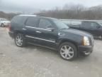 2010 Cadillac Escalade Premium