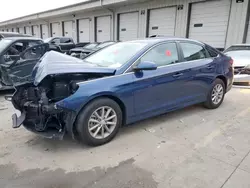 Salvage cars for sale at Louisville, KY auction: 2019 Hyundai Sonata SE