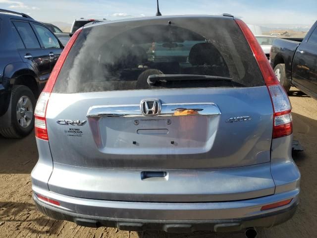 2010 Honda CR-V EX