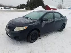 2009 Toyota Corolla Base en venta en Montreal Est, QC