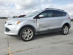 Ford Escape salvage cars for sale: 2013 Ford Escape SE