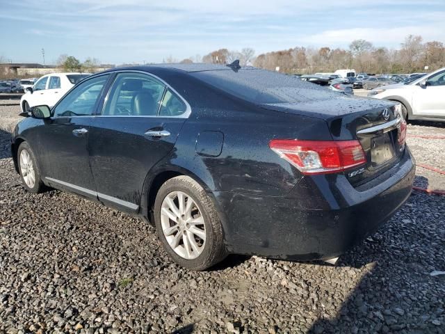 2010 Lexus ES 350